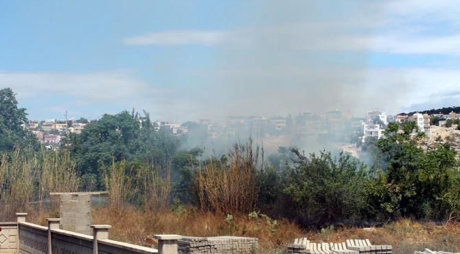 Mersin de limon bahçesinde çıkan yangında ağaçlar kül oldu