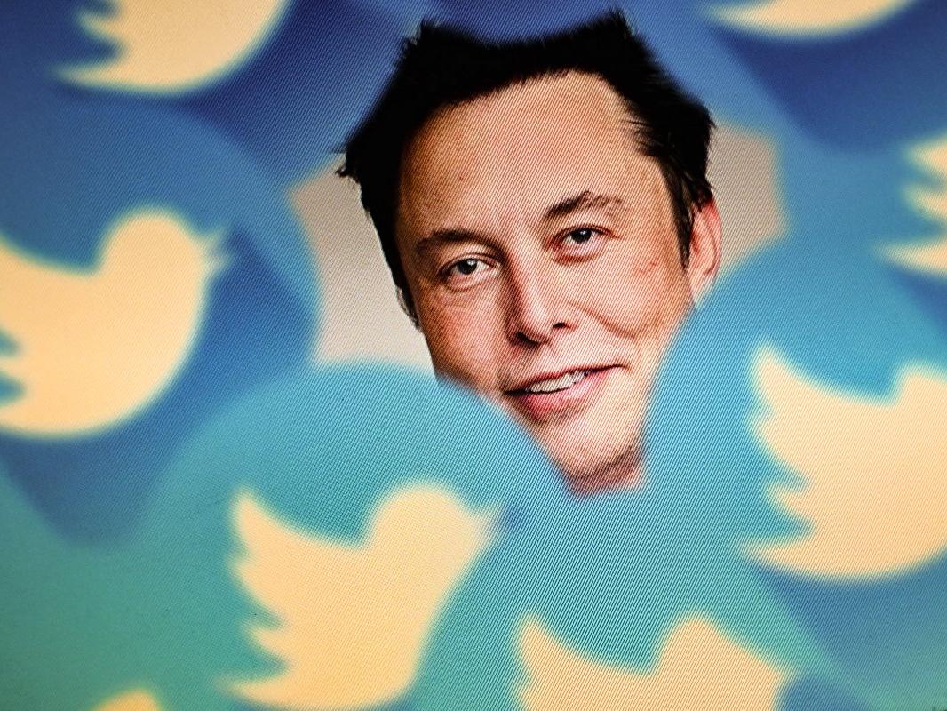 Elon Musk Twitter Blue I In Tarih Verdi Kas M Da Geri Gelecek