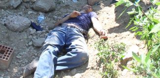 Bonzai içicisi ölü bulundu