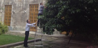 AKP'liler, Torba yasaya karayemiş koydular