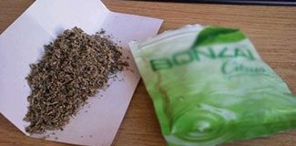 Bakanlıktan Bonzai'ye savaş! 