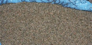 Bonzai için Meclis araştırması