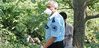 Başını taşla ezip attılar!