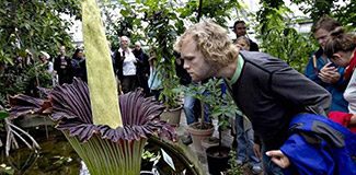 'Penis çiçek' açtı