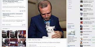 Kedili fotoğrafa yorum yağdı