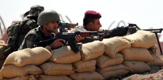 'Bu vahşeti durdurun'