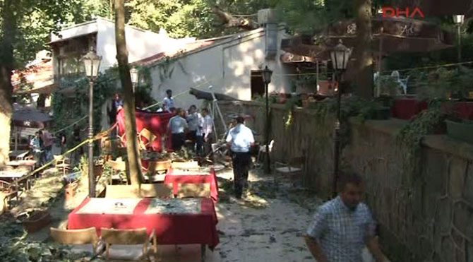 Beykoz'da ağaç faciası: 2 ölü