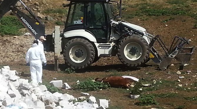 Köy karantinaya alındı