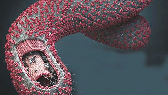 ebola-650
