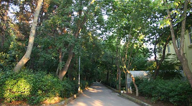 İş­te Os­man­lı­’dan mi­ras ko­ru­nun 200 yıl­lık ta­ri­hi