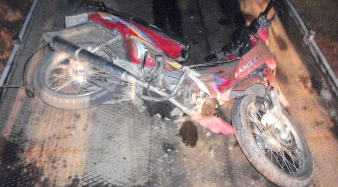 Manisa'da motosiklet domuza çarptı: 1 yaralı