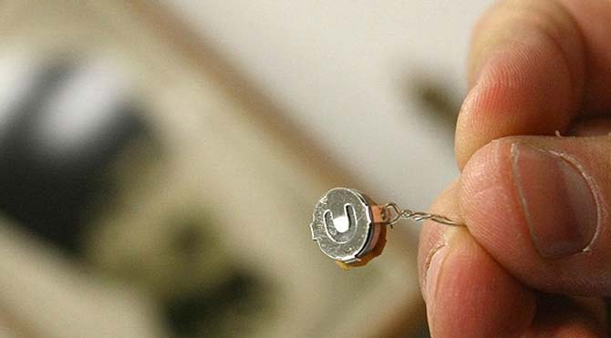 'Böcek soruşturması' tamamlandı