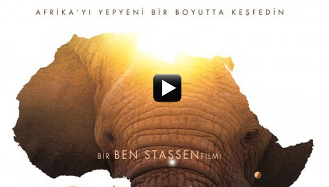 safari-banner-