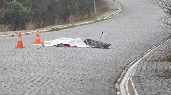  'Annen için çiçek topla'