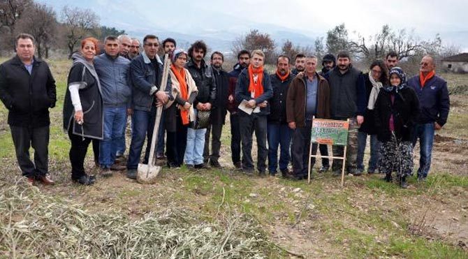 301 madenci için 301 zeytin fidanı