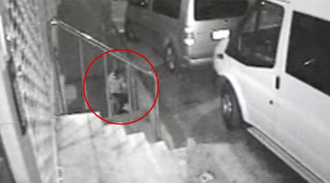 Köpeğe cinsel istismar davasında şok karar!