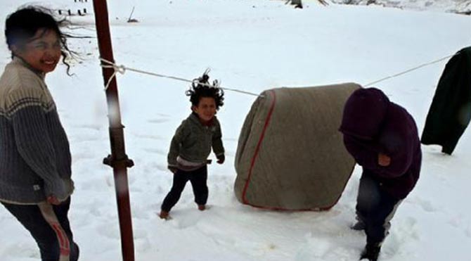8'i çocuk, 14 kişi donarak öldü