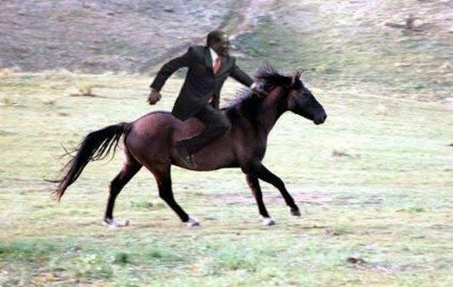 Robert Mugabe-zimbabve-13 (Custom)