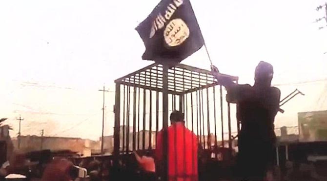 IŞİD, rehin peşmergeleri kafeste gezdirdi