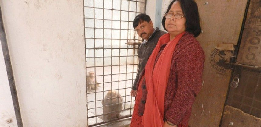 5f142f0f-d3ed-4cee-8e1c-aaa65bb93de0