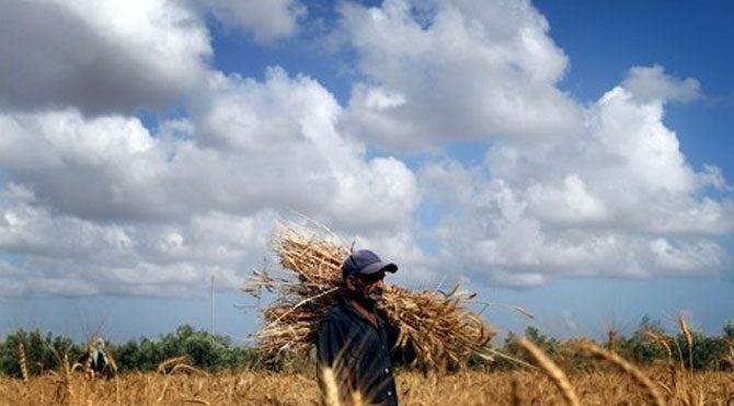 AKP’nin politikaları tarımı bitirdi
