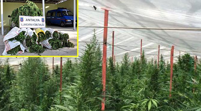 Seradan 1 milyon liralık zehir çıktı!