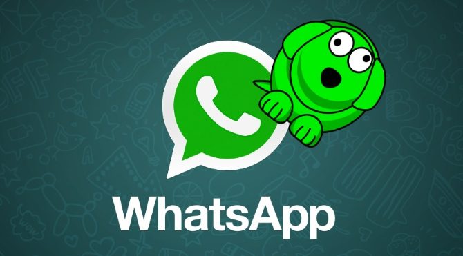  WhatsApp'ta WhatsDog furyası başladı! WhatsDog nedir?