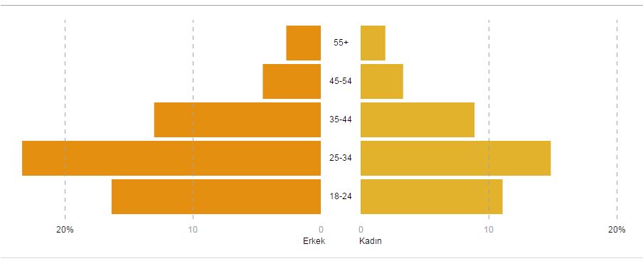 facebook seçim istatistiği