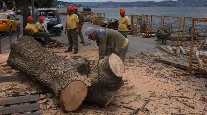 manset-670-Kurtarıldı