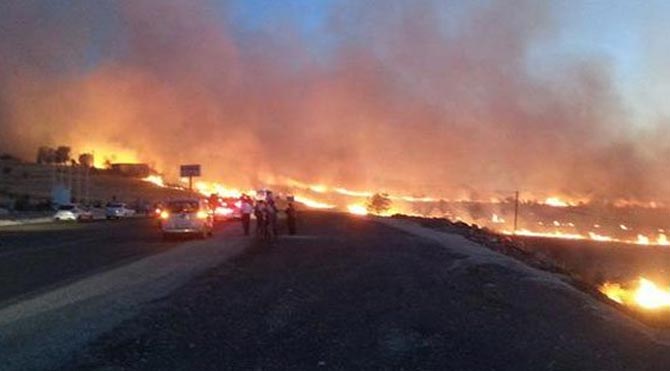 Türkiye'nin ciğerleri yanıyor