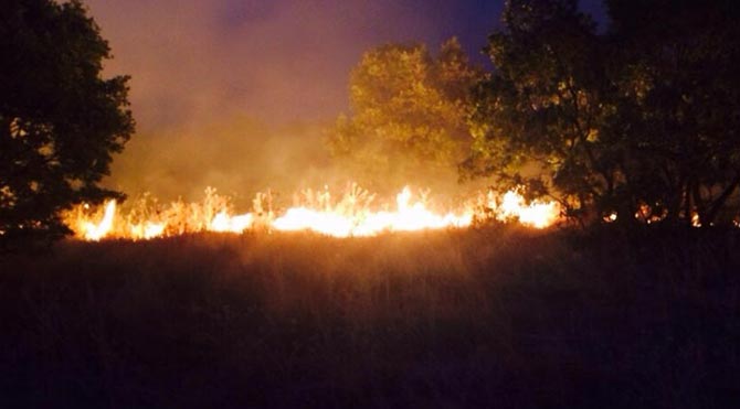 Diyarbakır Kulp İlçesi 'yanıyor'