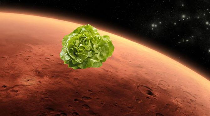 Uzayda yetişen ilk yiyecek