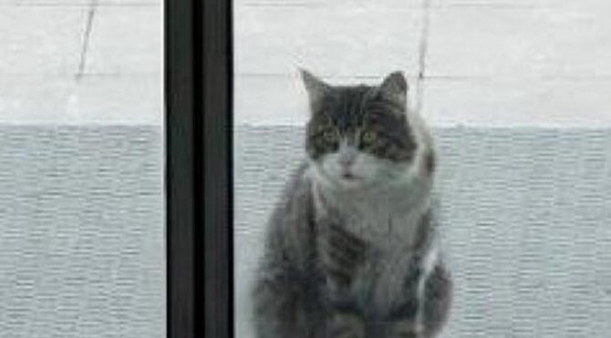 Şero tüm gazetecileri atlattı!