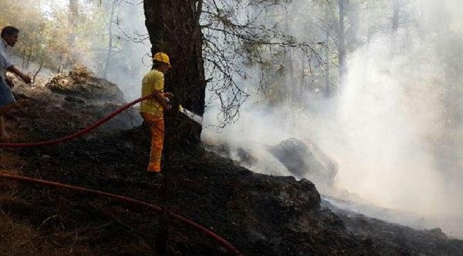 Köyceğiz'de orman yangını