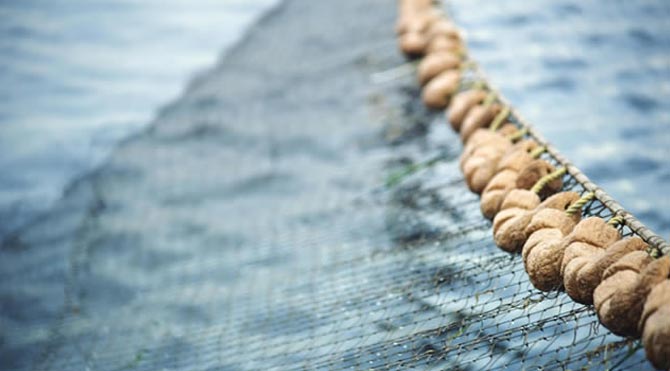 Onlar da 'troller'den muzdarip