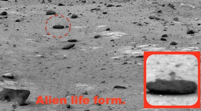 Mars'ta 'kertenkele bulundu' iddiası