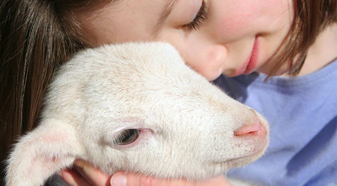 kuraban-bayrami-ve-cocuklar