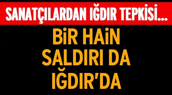 Sanatçılardan Iğdır tepkisi