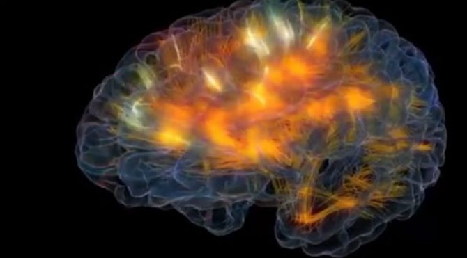 Beyniniz Hakkında Bilmediğiniz 10 İlginç Bilgi