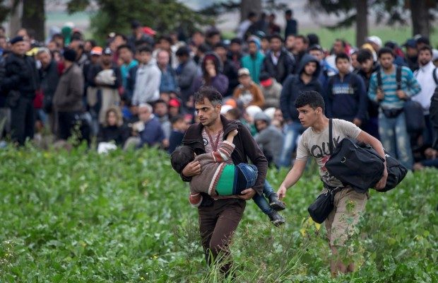 Migrants wait in field after crossing border near Tovarnik
