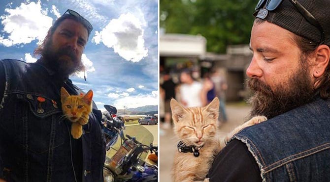 Kurtardığı kediyle ülkeyi gezen motorcu