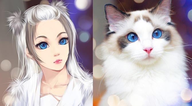Kediler anime karakterlere dönüşüyor