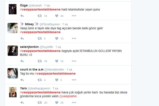 vasfi1670 Vasip Şahin