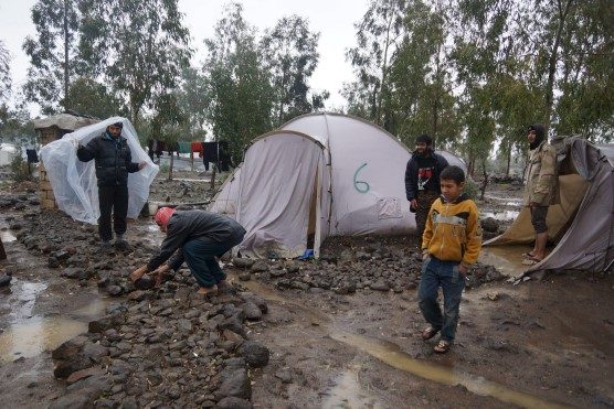 madaya