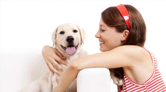 Köpeklerin insanlardaki mimik ve duyguları anlayabildiği ilk kez ortaya çıktı