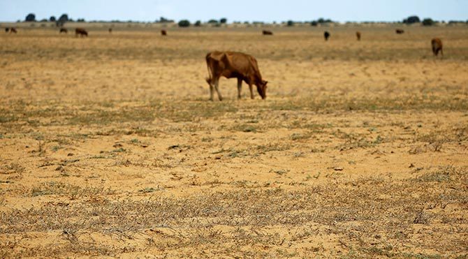 Güney Afrika’da sıcak çarpması sebebiyle 11 kişi öldü