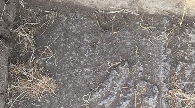 Türklerin 1300 yıllık parmak izi