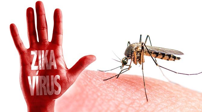 DSÖ'den Zika virüsü açıklaması
