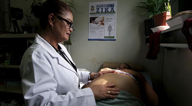 Zika virüsü kapan kadınlara kürtaj izni talebi