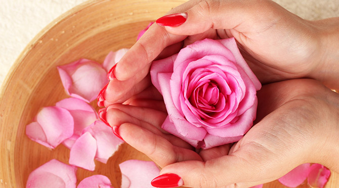 gülsuyu Foto: Shutterstock